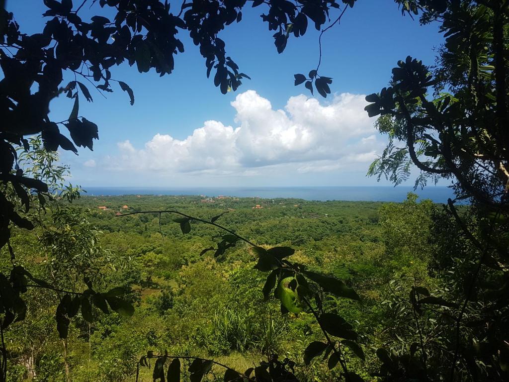 Divinity Villas - Uluwatu, Bali - 12
