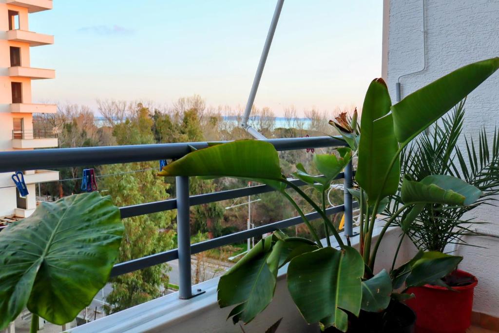una pianta seduta sul davanzale di una finestra accanto a un balcone di Laurent's Durres apartment a Durrës