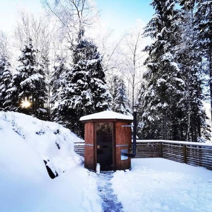Family friendly Villa with sauna in the nature v zimě