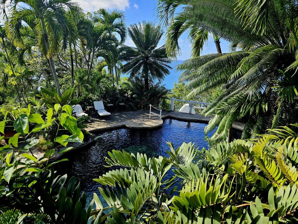una piscina en un jardín tropical con palmeras en Smuggler's Nest - Exotic & romantic villa villa, en Cap Estate