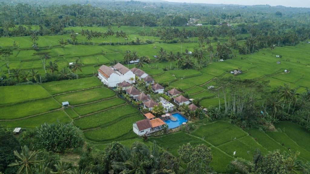 una vista aérea de una casa en un campo de arroz en Tanta Escape by Pramana Villas, en Tegalalang