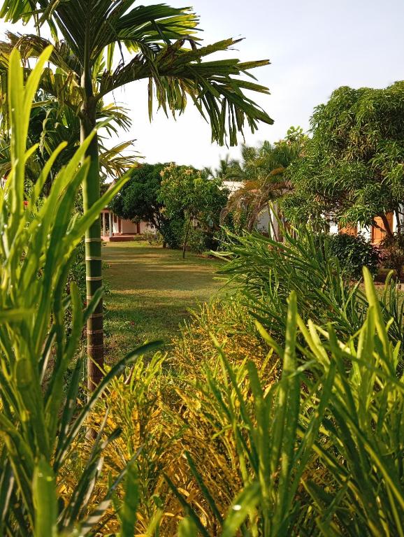 Zahrada ubytování JEYs Place