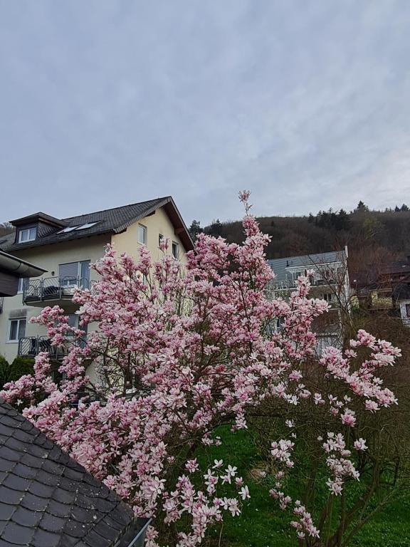 Ferienhaus Am Reilsbach - 5