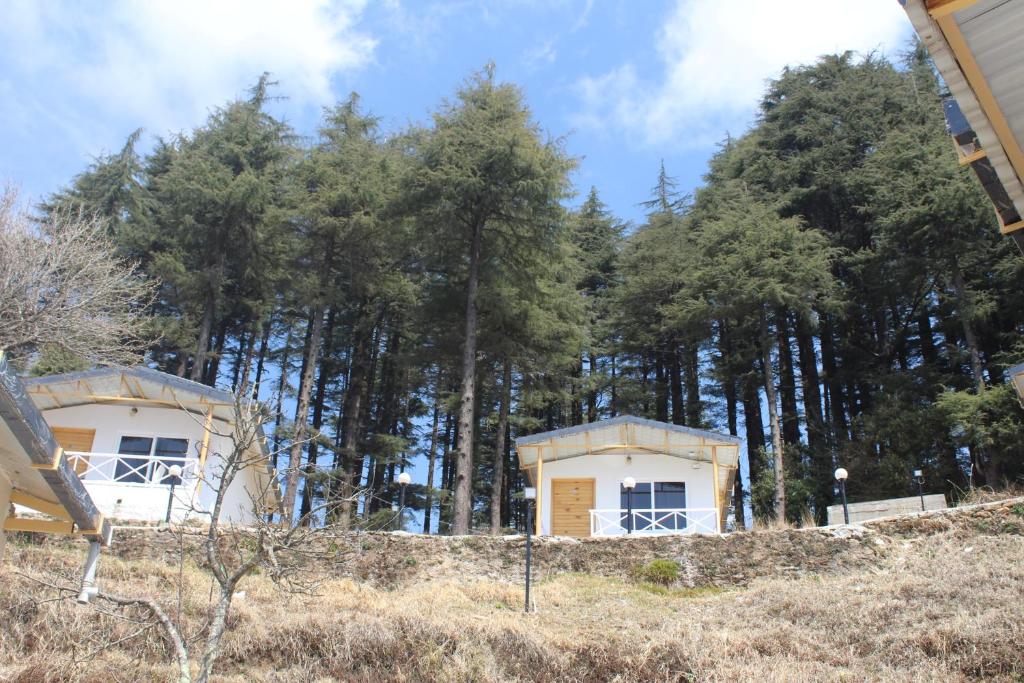 two buildings in front of a forest of trees at The Deodar Stays in Kanatal