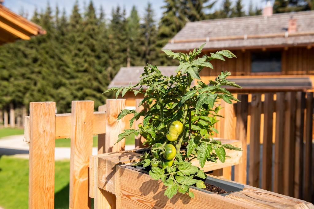 Lerchpeuntgut Almchalets - 10