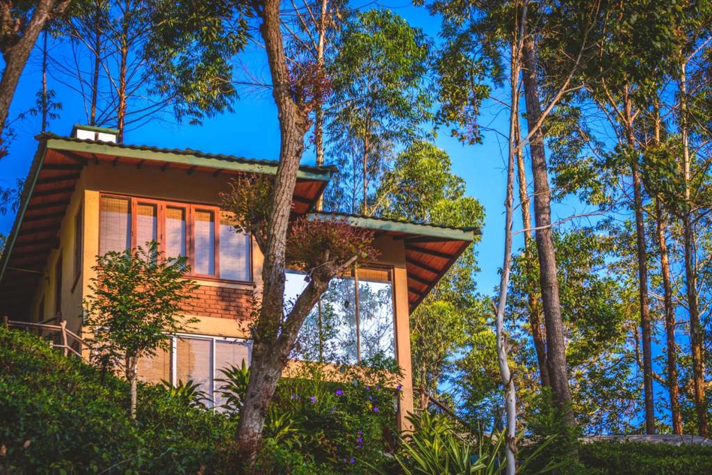 una casa en el bosque con árboles en Tea Cottage Resort and Spa, en Nawalapitiya