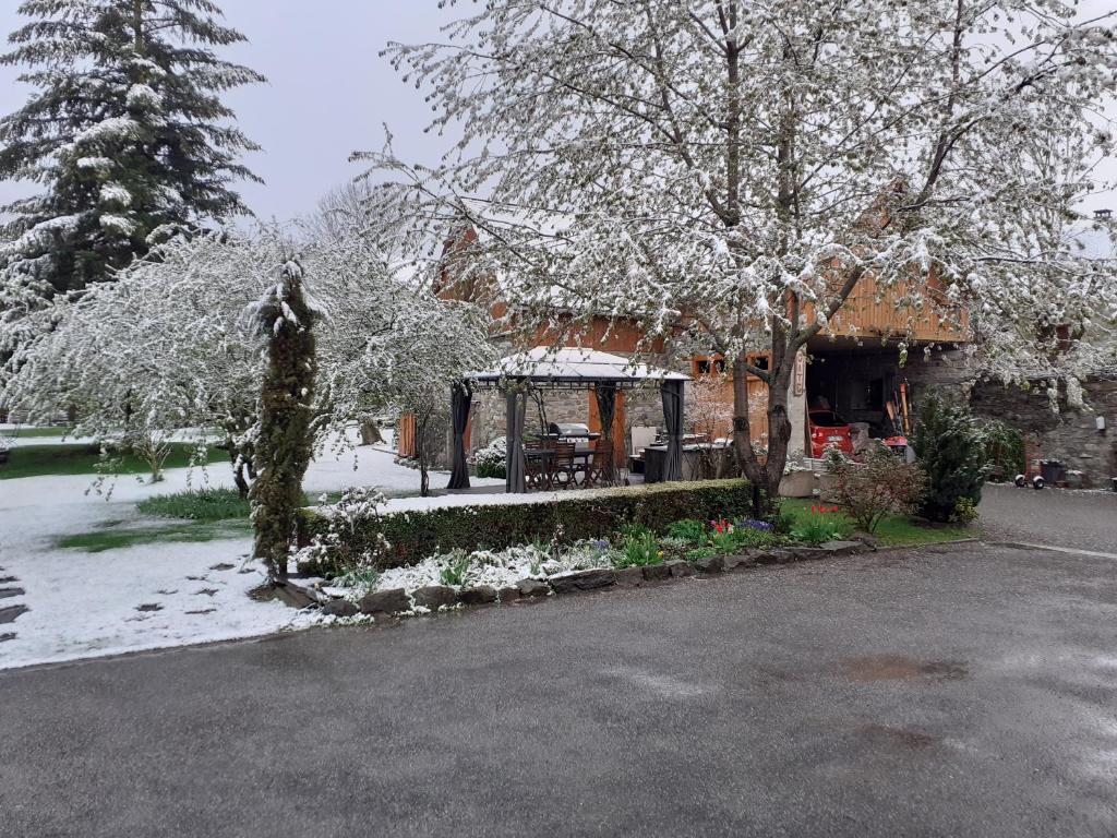 gite du sapin vert pozimi