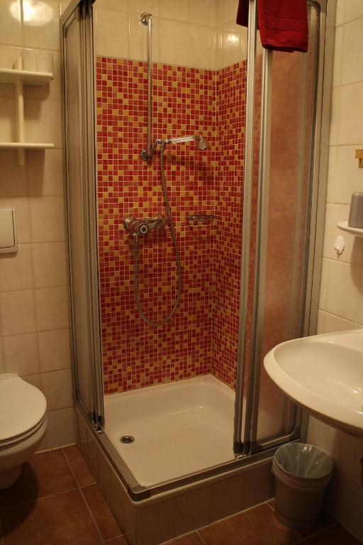 a bathroom with a shower with a sink and a toilet at Gasthaus zum Stausee in Grafenau