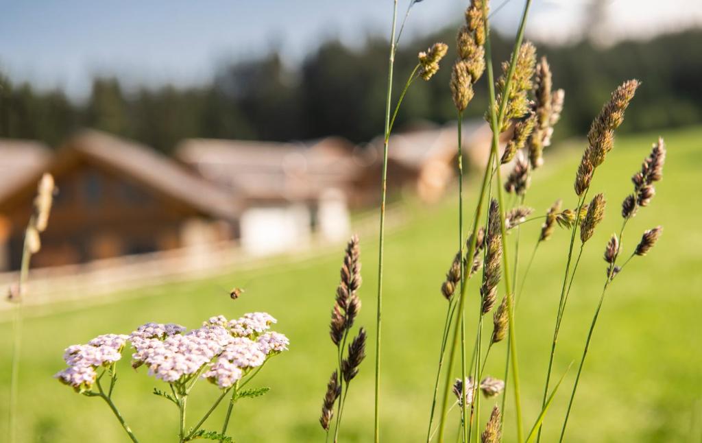 Lerchpeuntgut Alpenfreud Apartments - 8