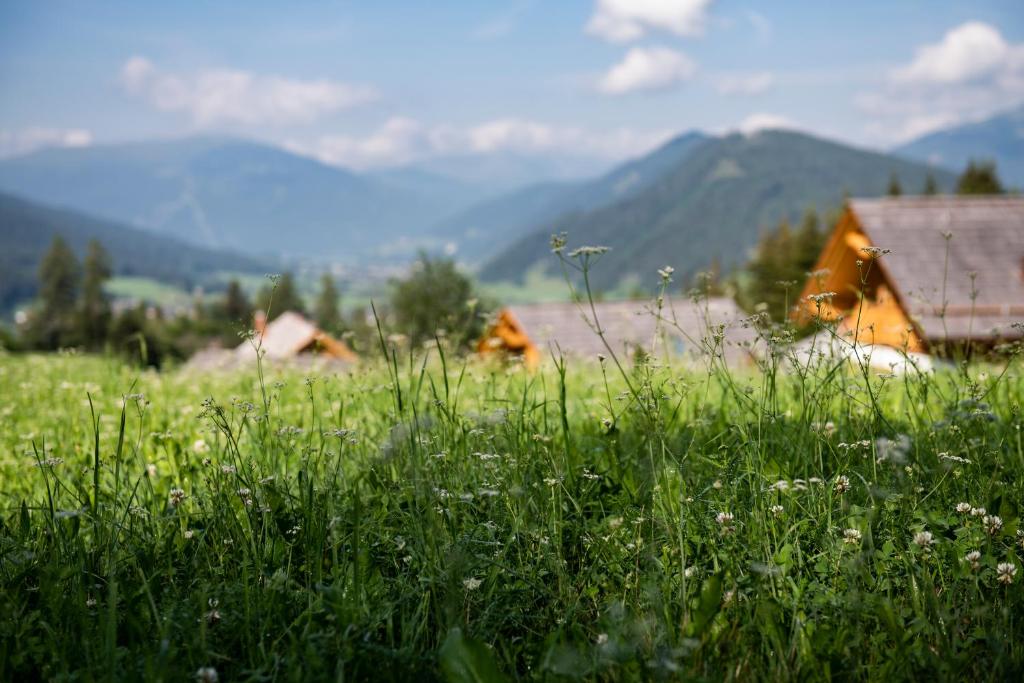 Lerchpeuntgut Alpenfreud Apartments - 10