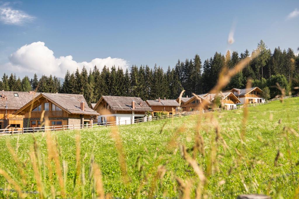 Lerchpeuntgut Alpenfreud Apartments - 13