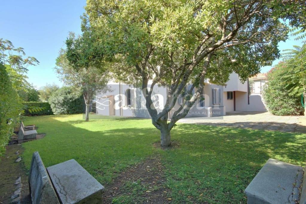 A garden outside Villetta Ciro, 3 camere, giardino e parcheggio, a soli 50 m dal mare! by Alfareal