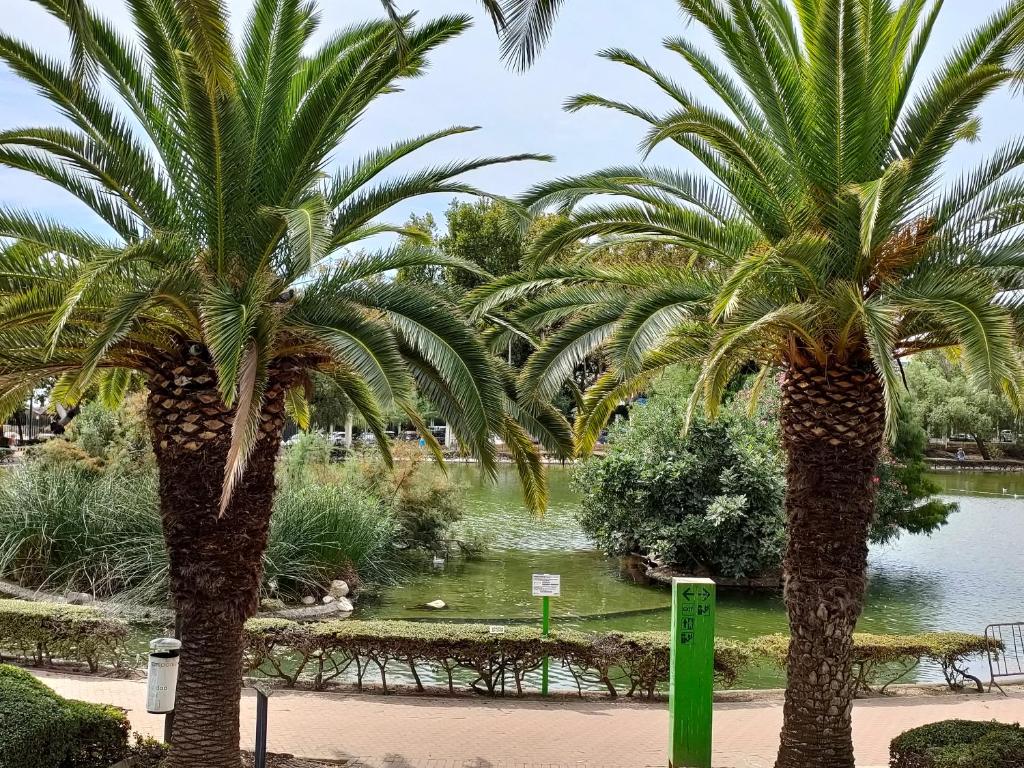 A garden outside Pueblo Quinta
