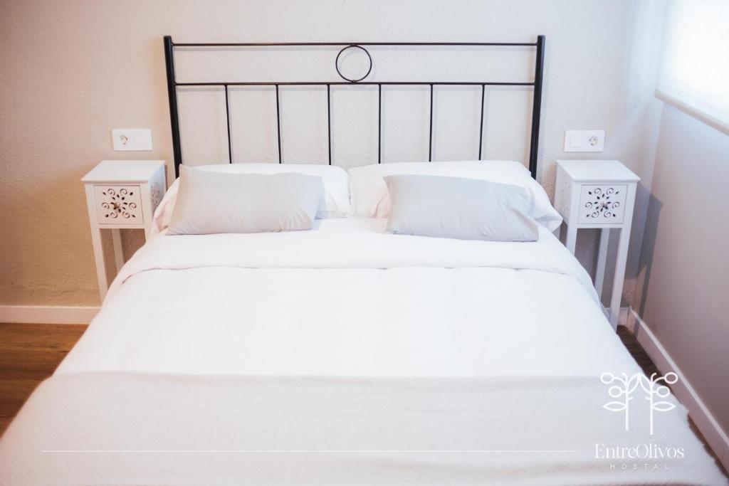 HOSTAL ENTREOLIVOS - 双人间
