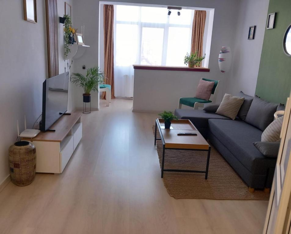 sala de estar con sofá y TV en Nya Apartment en Sighişoara