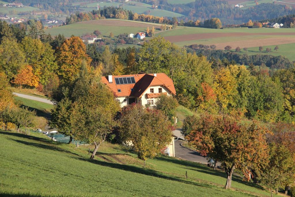 eine Luftansicht eines Hauses auf einem Hügel mit Bäumen in der Unterkunft Seppl Am Berg in Eichberg