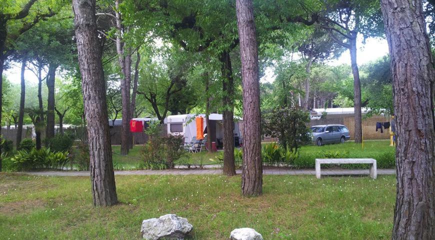 Zahrada ubytování Holiday Center Valdor