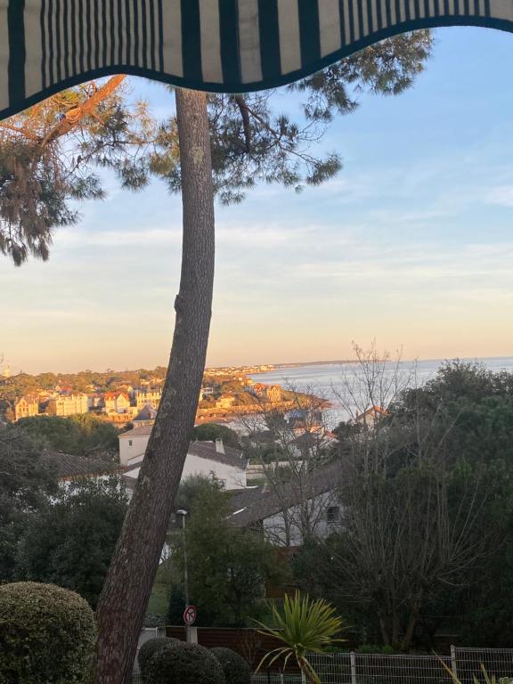 滨海圣帕莱VUE MER et SOLEIL LEVANT AU BELVEDERE的从树上欣赏海景