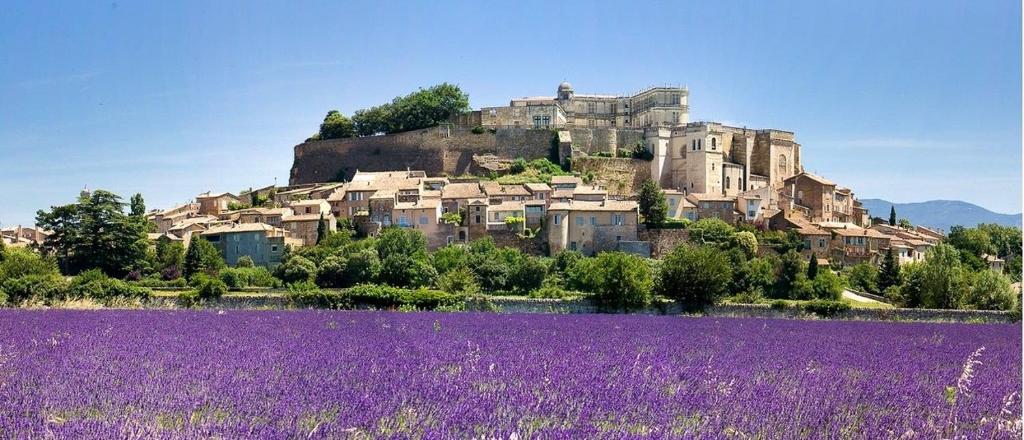 un castillo en la cima de una colina con flores púrpuras en Appartement neuf 36m2 climatisé, en Chamaret