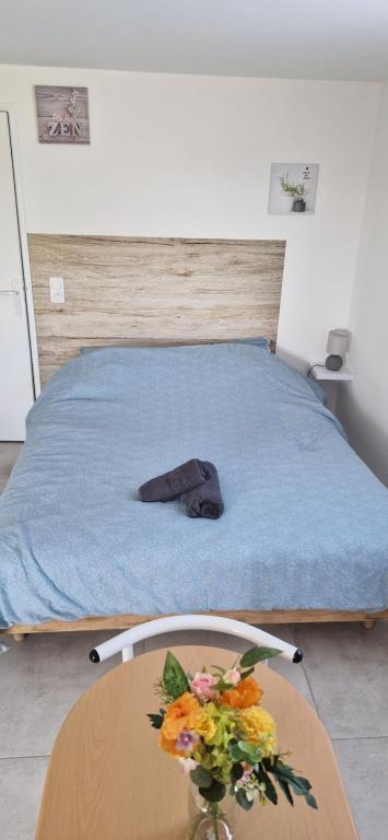 Postel nebo postele na pokoji v ubytování Studio plein Sud au calme