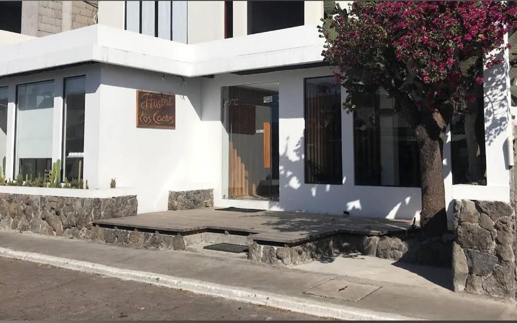 a white building with a tree in front of it at Cactus in Puerto Baquerizo Moreno
