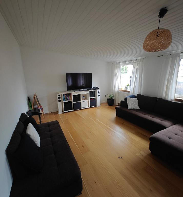 TV a/nebo společenská místnost v ubytování Felicia's Apartments