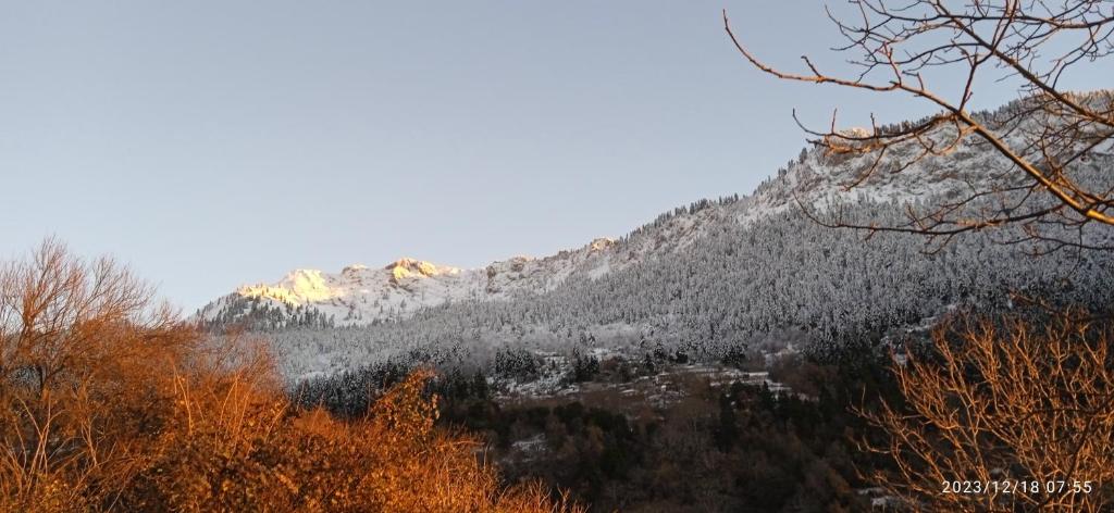 Una montaña cubierta de árboles con nieve. en Archontiko tou Krommyda, en Elati
