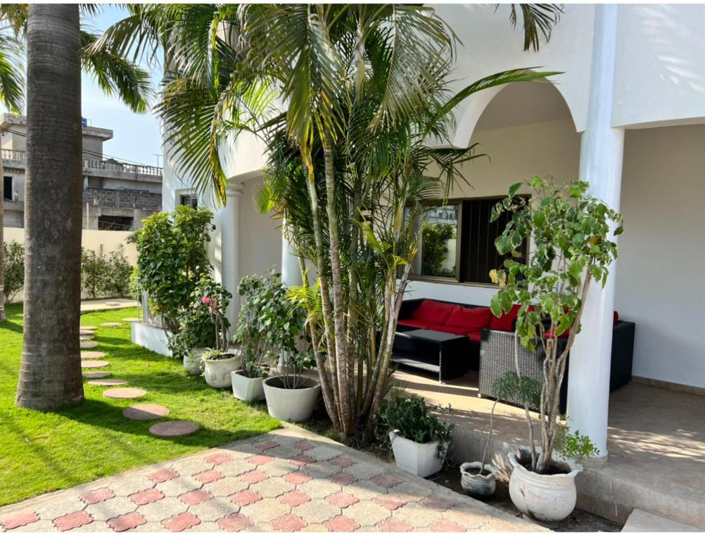 a courtyard with palm trees and a couch in a house at VillaXXL & Pool, Fidjrosse, route des pêches, Cotonou in Godomè