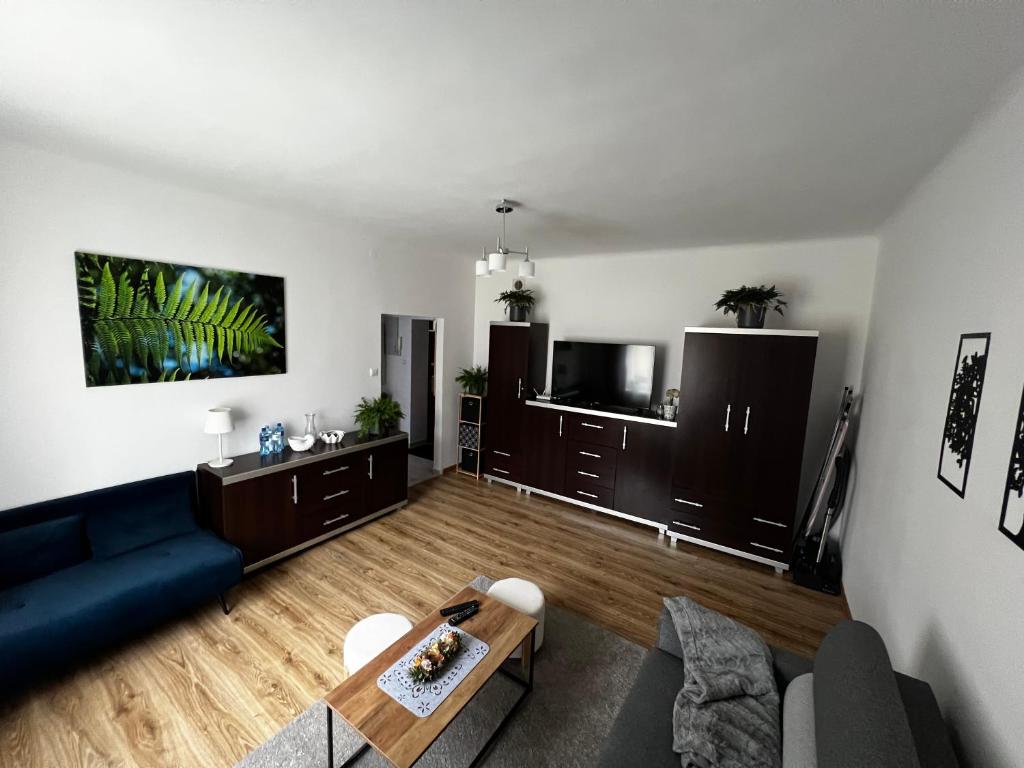 salon z niebieską kanapą i telewizorem w obiekcie Apartament Paprotka w mieście Skarżysko-Kamienna