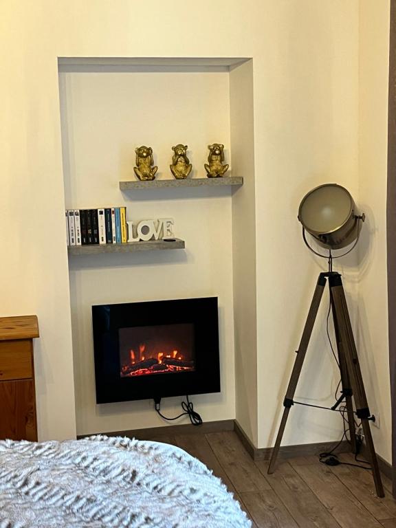 a room with a fireplace with a camera and a tripod at La Glycine in Chamoux-sur-Gelon
