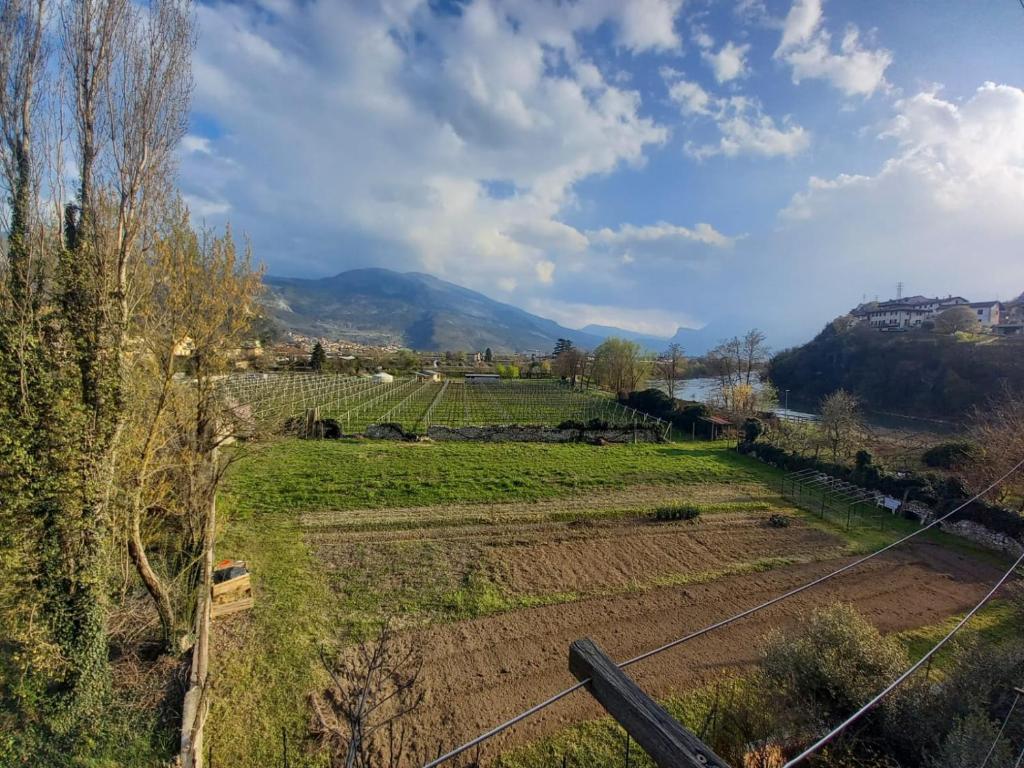 un campo di colture con montagne sullo sfondo di HOME SWEET HOME a Rovereto