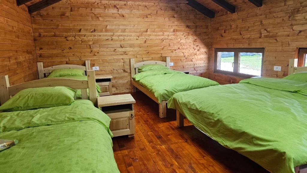 um quarto com 4 camas com lençóis verdes e uma janela em Zenith Campsite Apartments em Nikšić