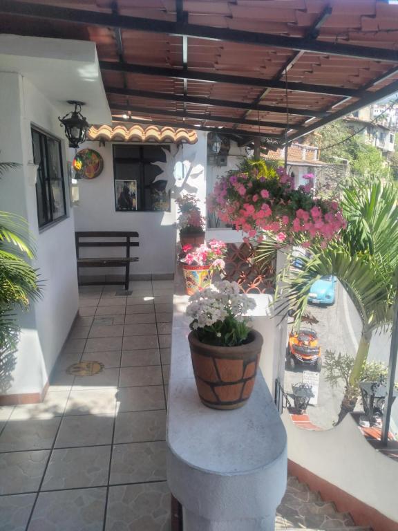 a patio with potted plants and a table with flowers at Hotel Las Palomas in Taxco de Alarcón