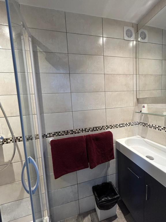 a bathroom with a shower and a sink and red towels at Le Richelieu Bacchus in Fontainebleau