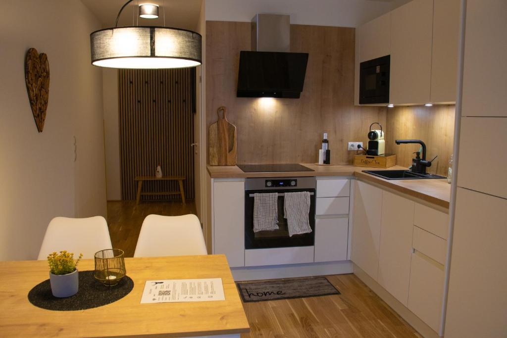 Kuchyň nebo kuchyňský kout v ubytování Danube City Lodge, uptown, A/C