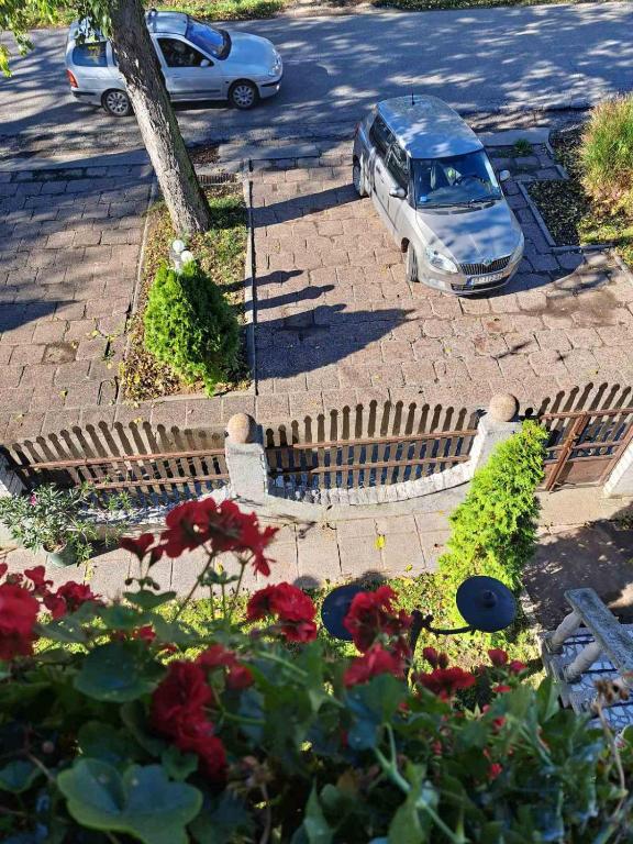Zahrada ubytování Apartman Sekulić