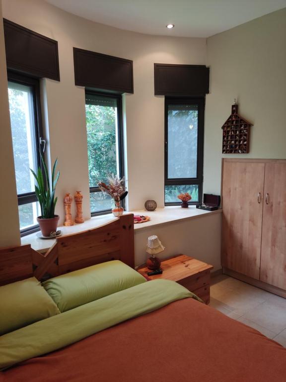 um quarto com uma cama e algumas janelas em Art Apartments em Midrakh ‘Oz