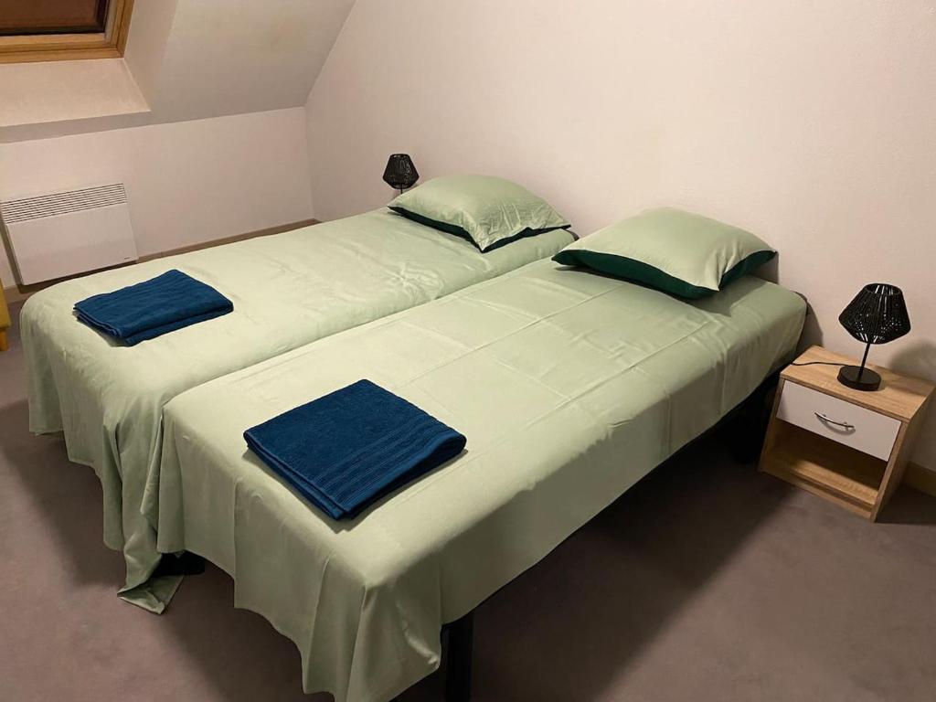 two beds sitting next to each other in a room at Appartement Seine 391 in Nogent-sur-Seine