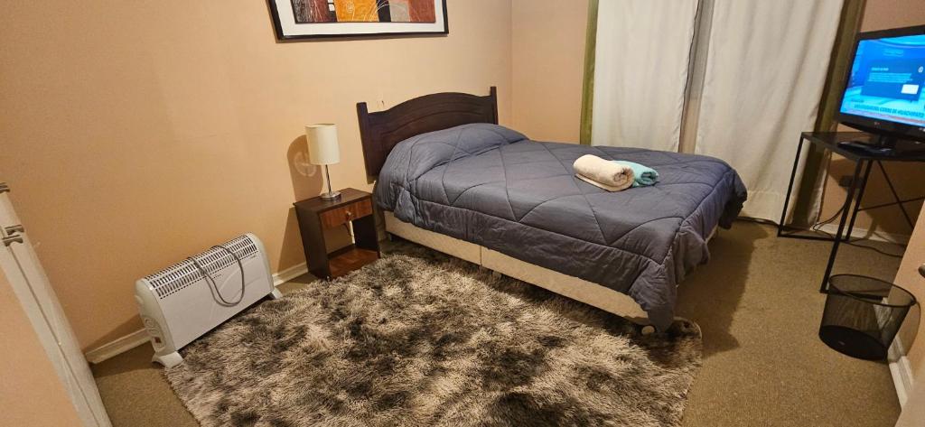 a bedroom with a bed and a television and a rug at HOSTAL HABITACION MATRIMONIAL con AIRE ACONDICIONADO y ESTACIONAMIENTO PRIVADO in Rancagua