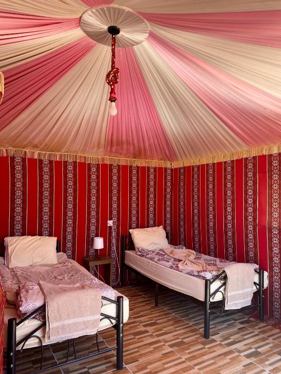 Glamp Camp Wadi Rum - Studio Con Mountain View