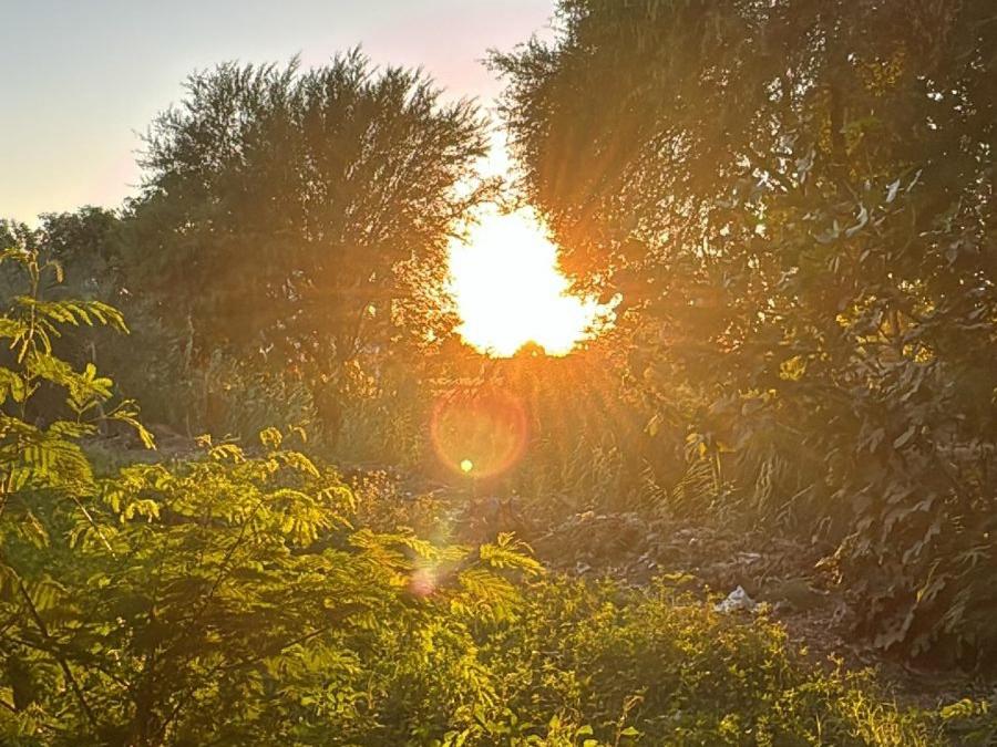 Východ nebo západ slunce při pohledu z bed and breakfast nebo okolí