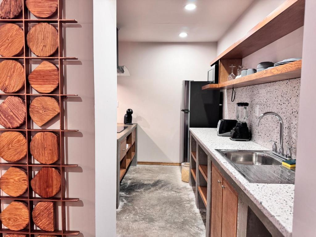 Kuchyň nebo kuchyňský kout v ubytování Hotel Olá Chapultepec