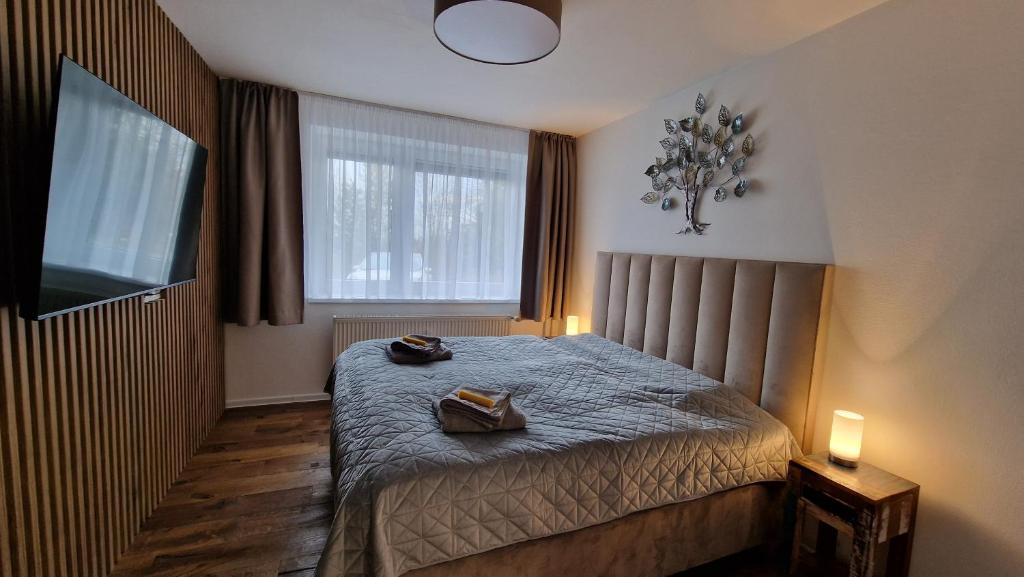 a bedroom with a bed and a window and a television at Lesíček in Vysoké Tatry