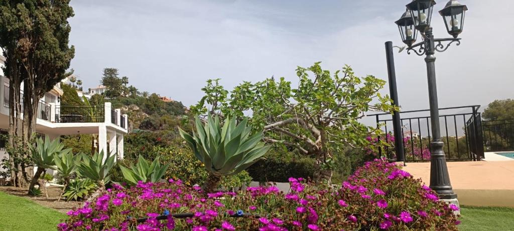 Zahrada ubytování La Torrecica, con carácter andaluz y magníficas vistas al mar y Sierra Nevada