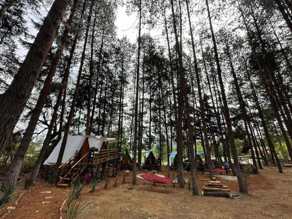 een groep tenten in een bos met bomen bij El descanso casa-hotel zacatlán in Zacatlán
