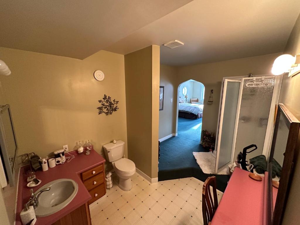 a bathroom with a sink and a toilet and a shower at Eden Estate B&B in Reidville
