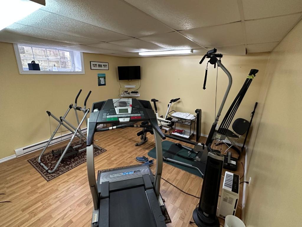 a room with a gym with exercise bikes and a treadmill at Eden Estate B&B in Reidville