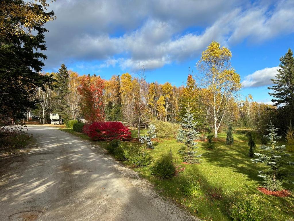 a road in the middle of a forest with autumn trees at Eden Estate B&B in Reidville
