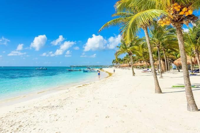 a sandy beach with palm trees and the ocean at Royal lagoon room in Cancún
