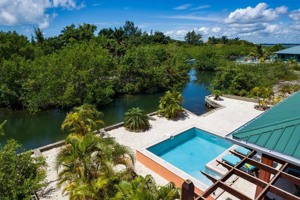 an aerial view of a swimming pool next to a river at Casa Valencia - Modern Pool Family Luxury Sleeps 8 in Placencia